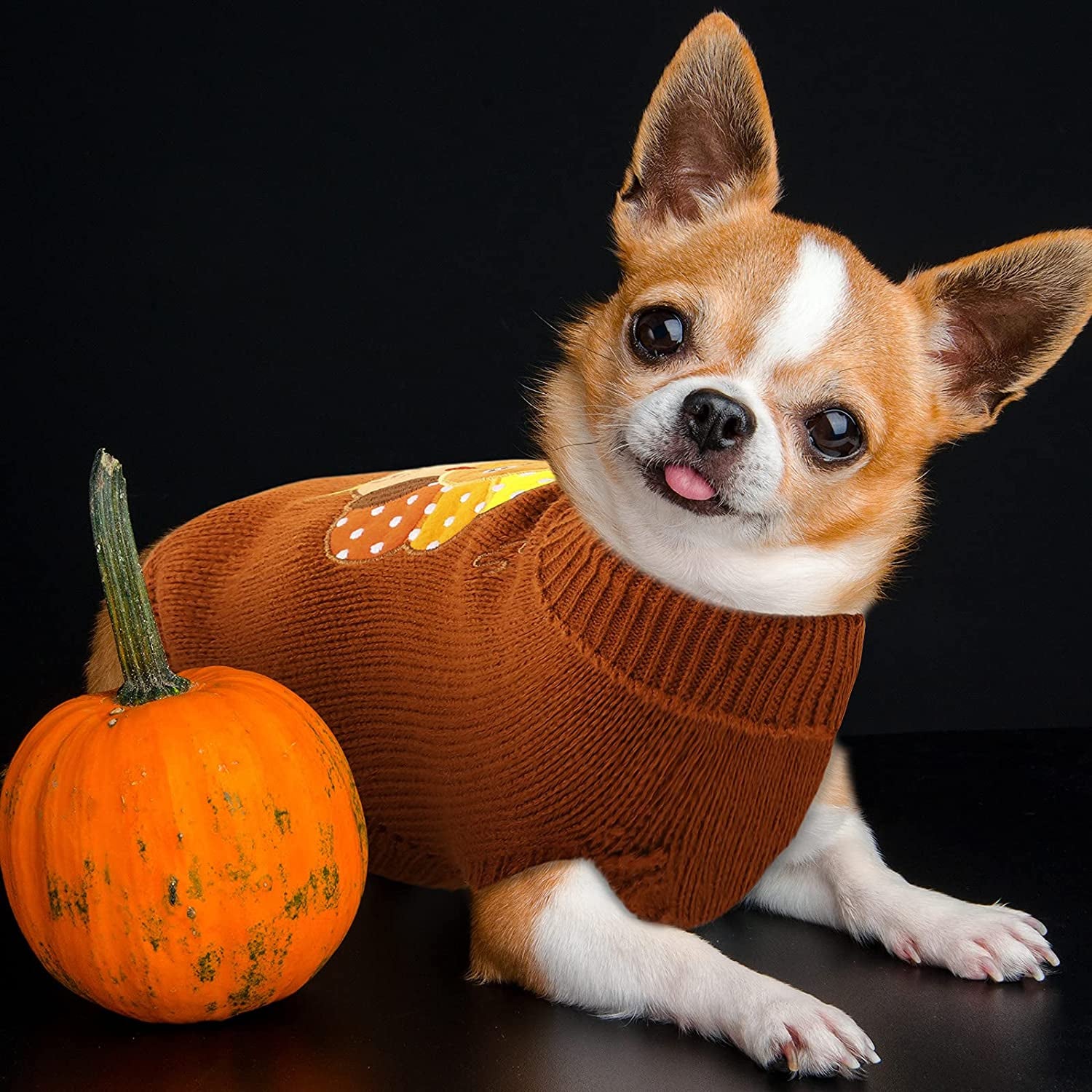 2 Pack Thanksgiving Dog Sweaters, Warm Knitwear for Thanksgiving