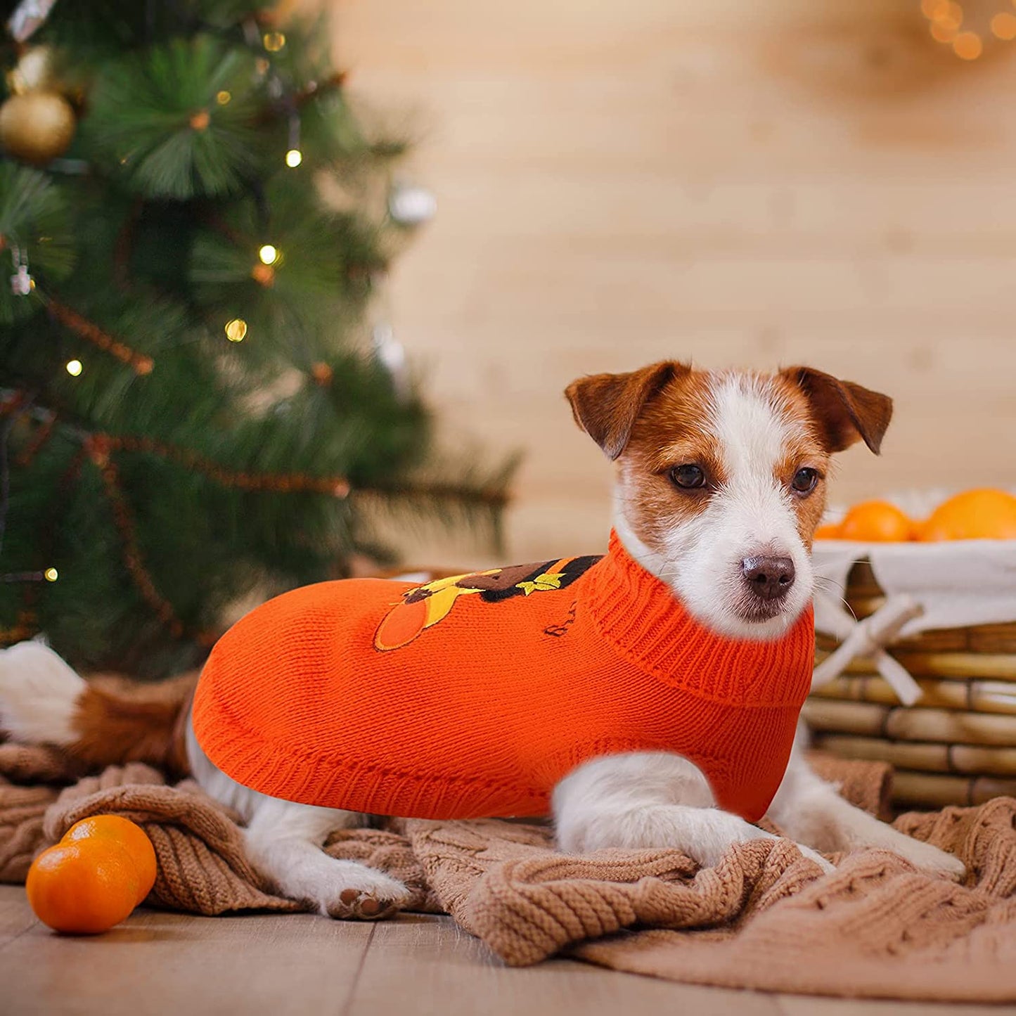 2 Pack Thanksgiving Dog Sweaters, Warm Knitwear for Thanksgiving