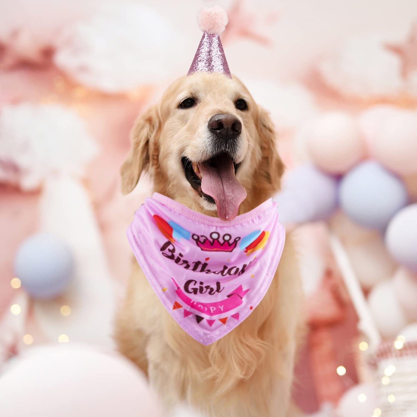 Dog Birthday Party Supplies;  Bandana Hat Banner Set