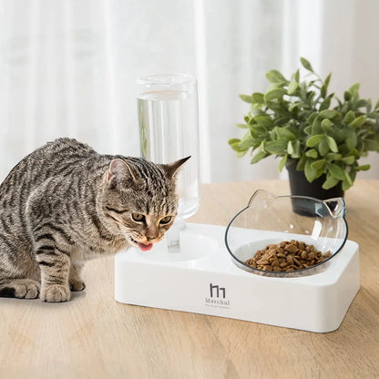 Tilted Food Bowl with Feeding Mat for Food and Water