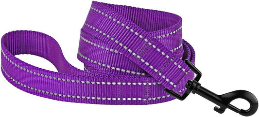 Nylon Dog Leash 5Ft for Daily Outdoor Walking Running Training Heavy Duty Reflective Pet Leashes for Large, Medium & Small Dogs (S, Purple)