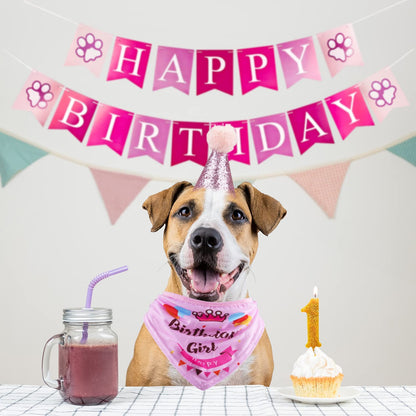 Dog Birthday Party Supplies;  Bandana Hat Banner Set