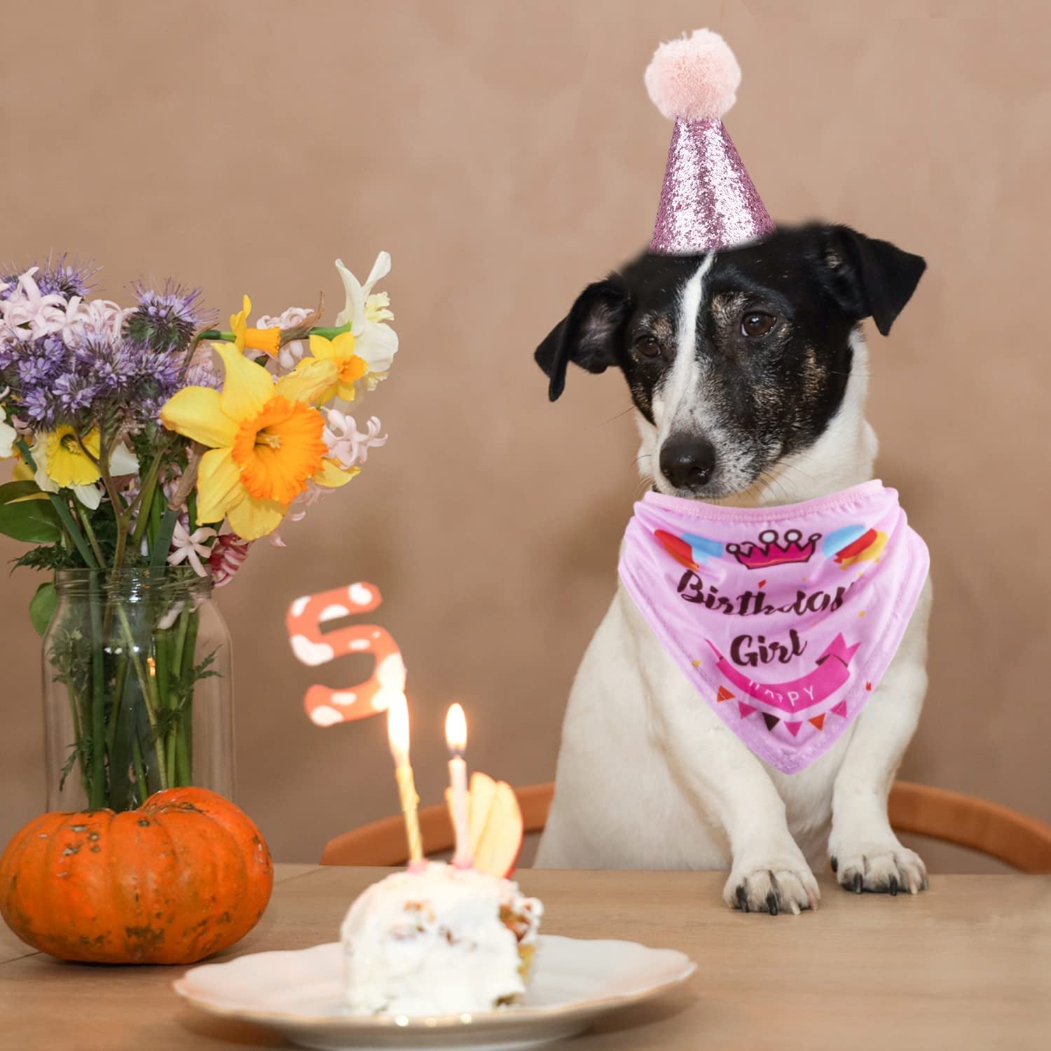 Dog Birthday Party Supplies;  Bandana Hat Banner Set