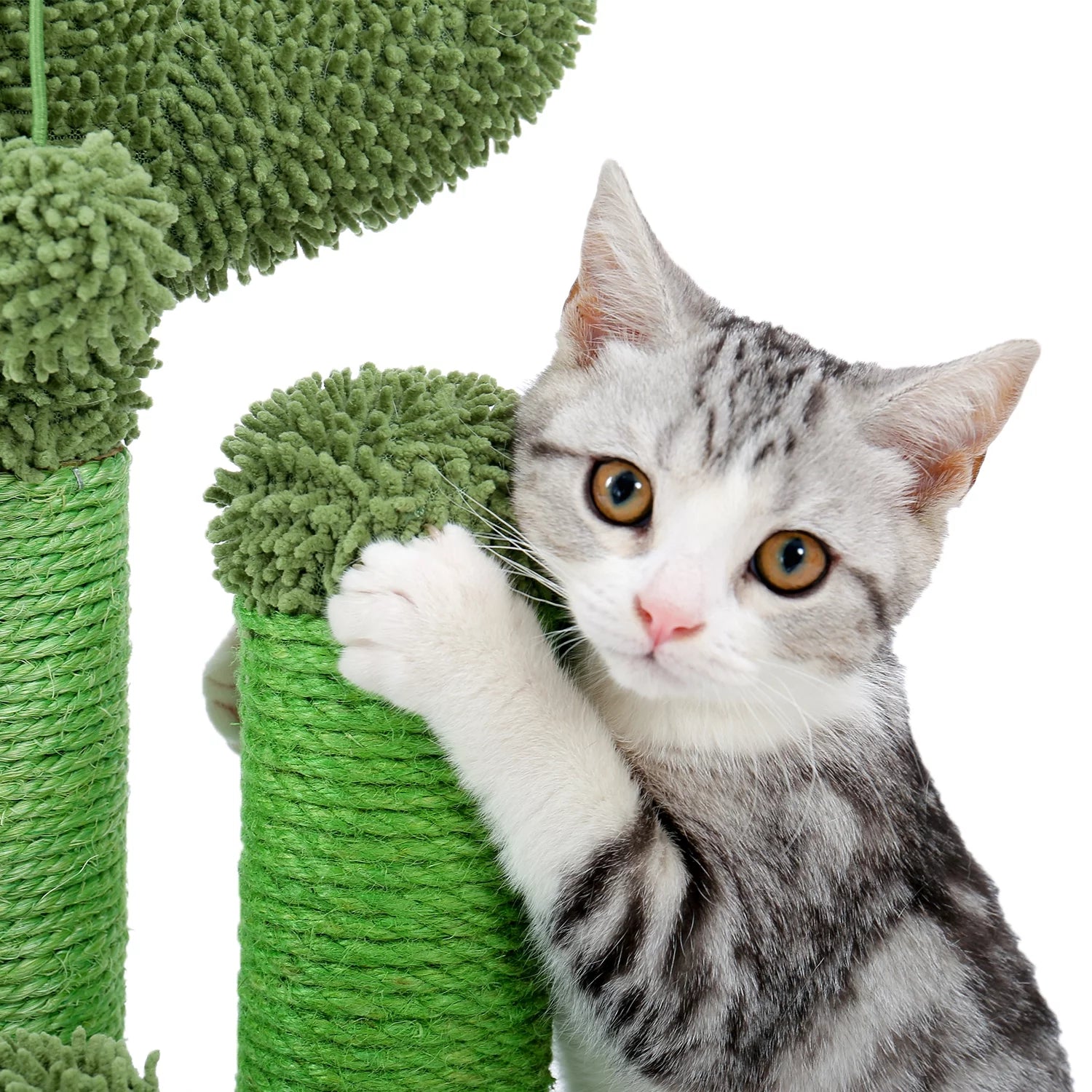 23" Cactus Cat Scratching Posts