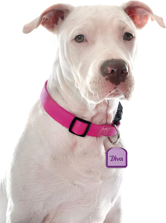 The Tag Bag - Dog Tag Silencer (Diva-Lavender/Pink)