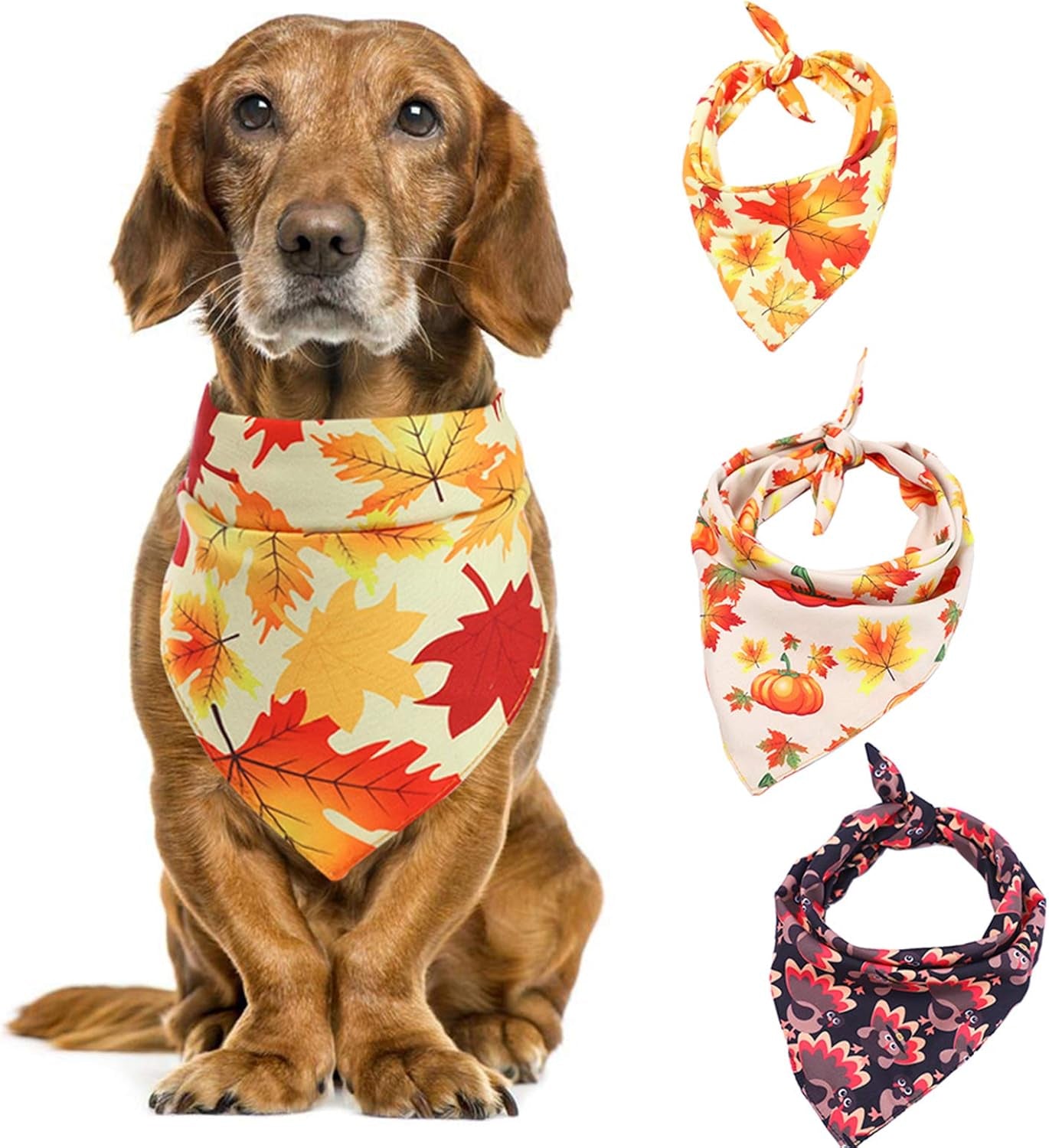 3 Pack Thanksgiving Print Triangle Dog Scarf