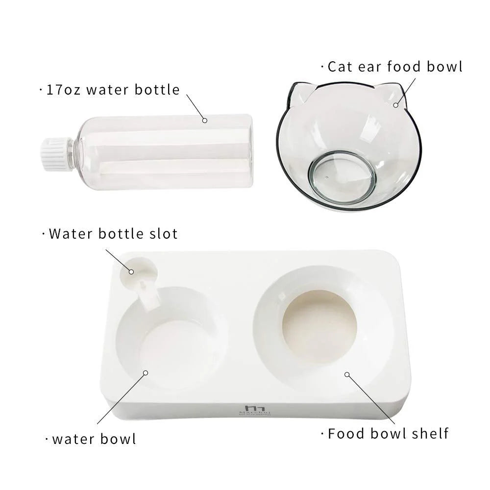 Tilted Food Bowl with Feeding Mat for Food and Water