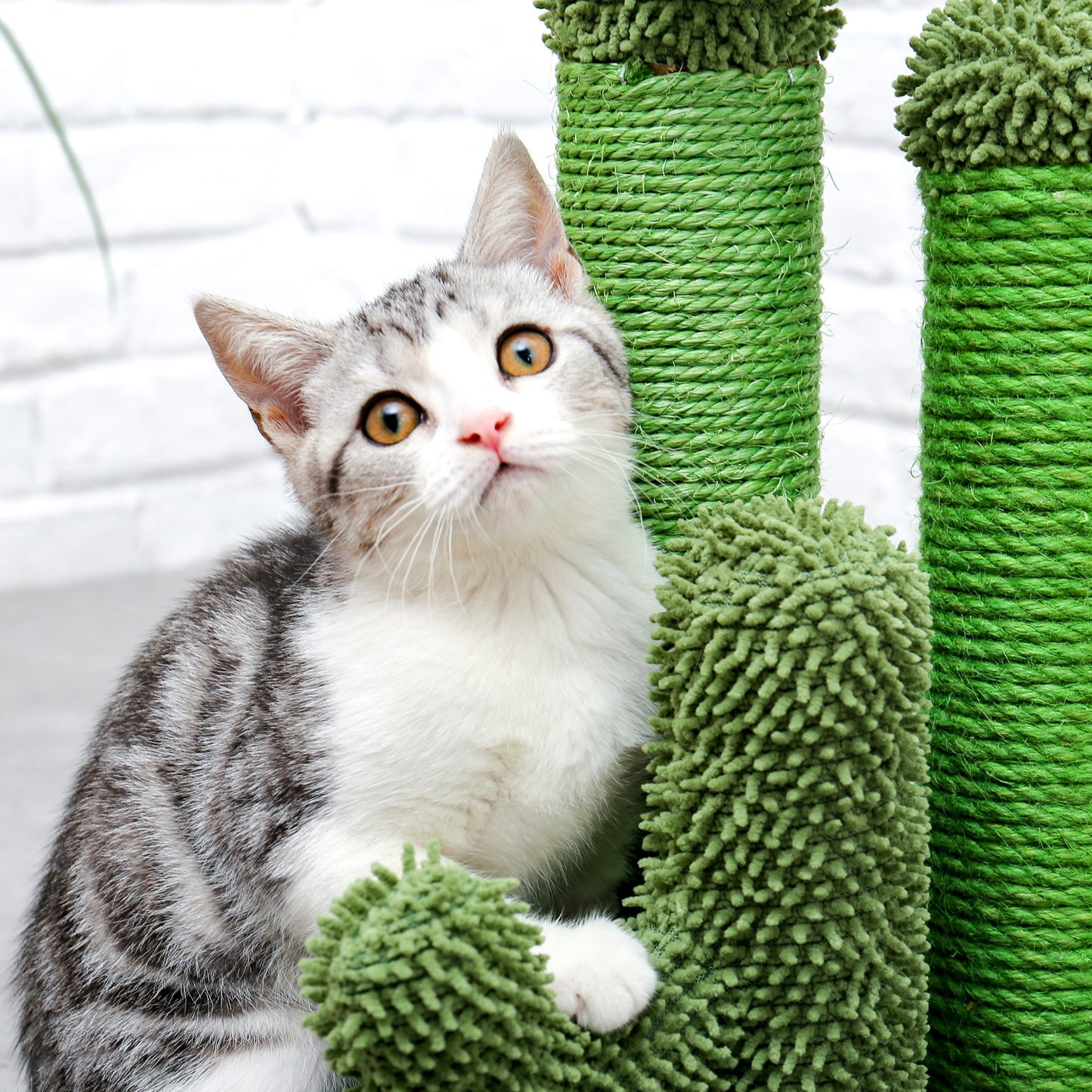 23" Cactus Cat Scratching Posts