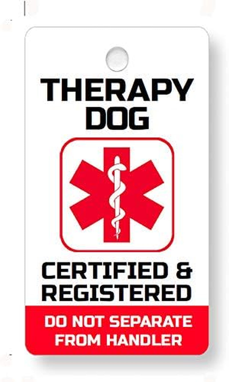 PVC Therapy Dog Key or Collar Tag for Your Therapy Dog (Therapy Dog TD21)