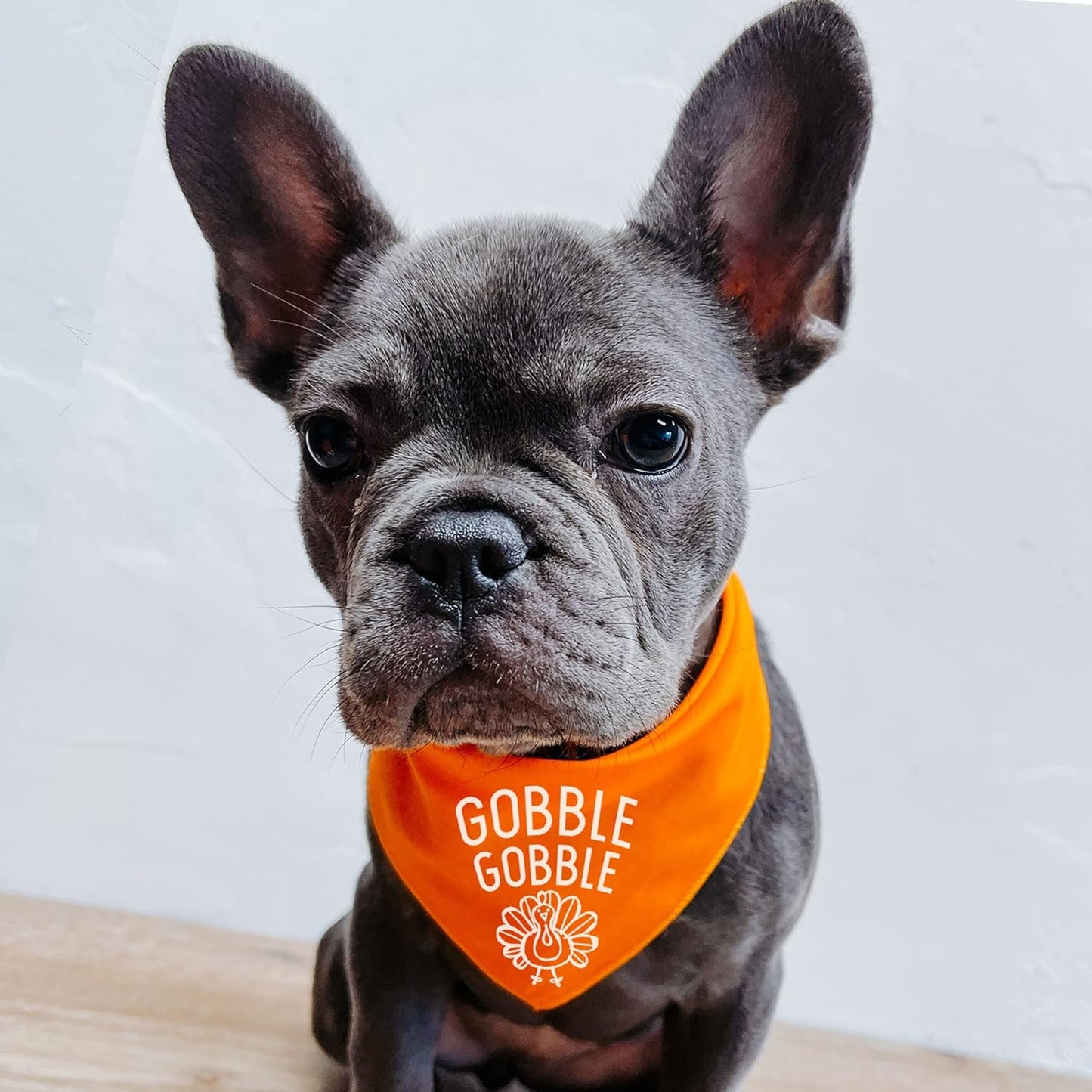 Gobble Gobble Thanksgiving Dog Bandana