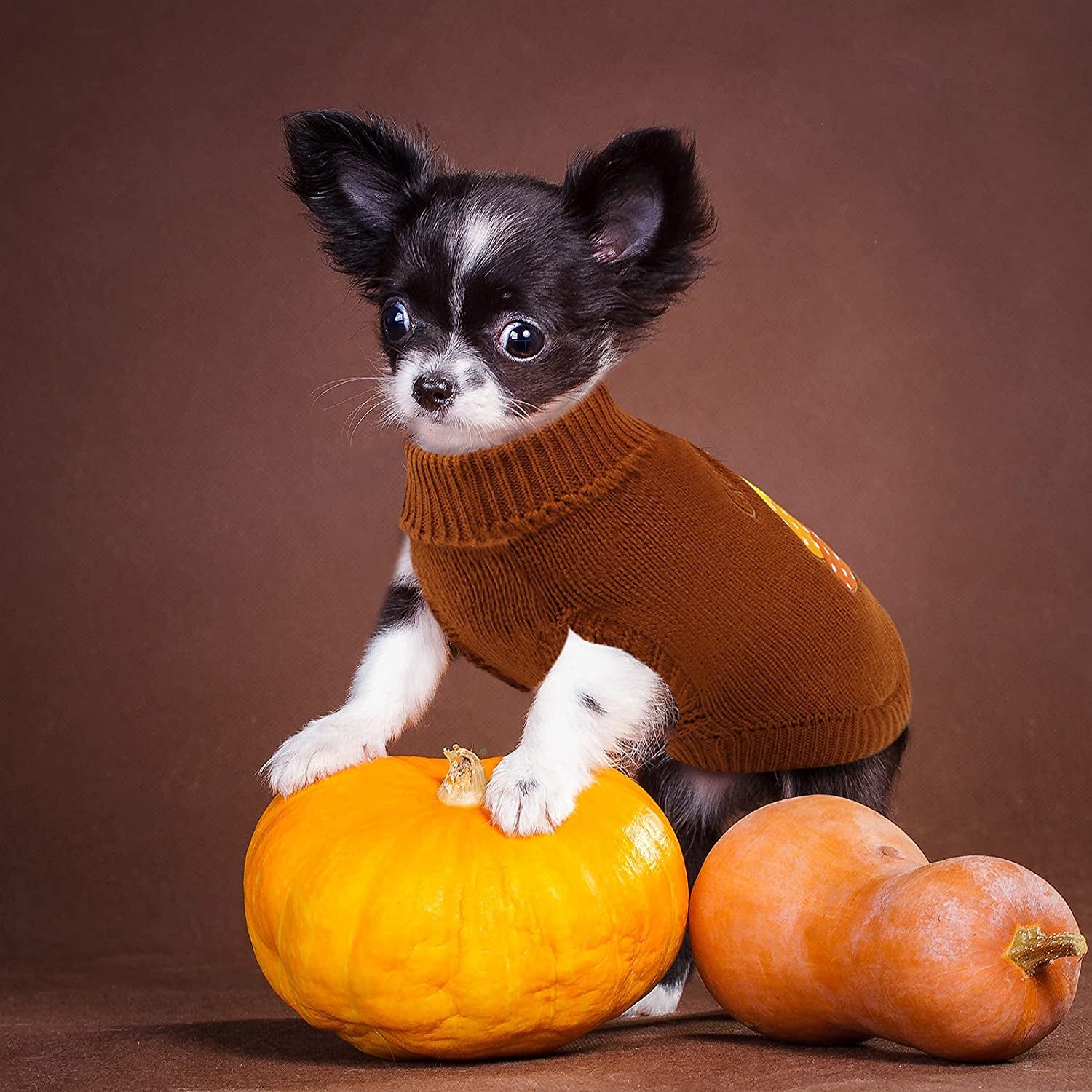 2 Pack Thanksgiving Dog Sweaters, Warm Knitwear for Thanksgiving