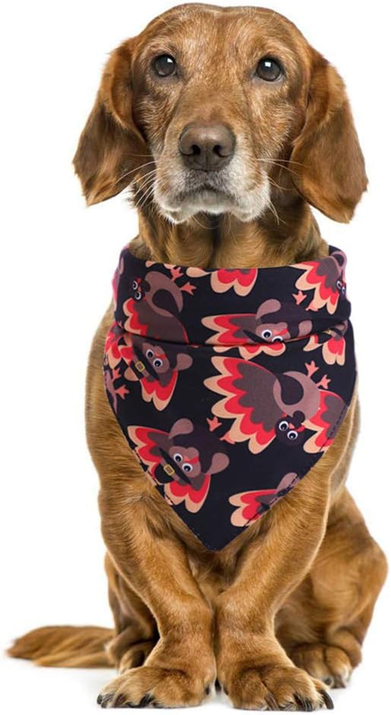 3 Pack Thanksgiving Print Triangle Dog Scarf