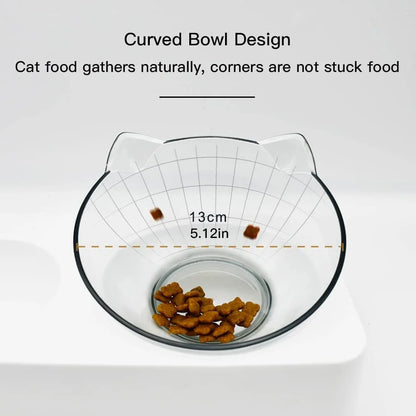 Tilted Food Bowl with Feeding Mat for Food and Water