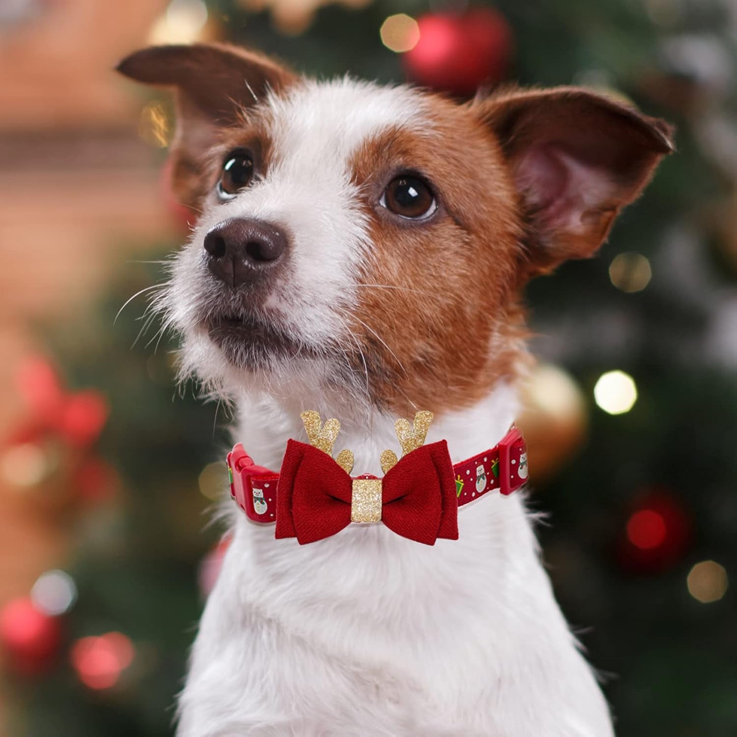 Adjustable Christmas Collar with Antler Bow Tie